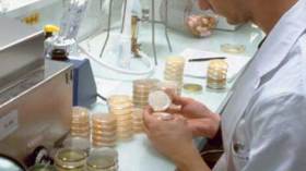 جزائري على رأس مخبر أردني لصناعة الأدوية