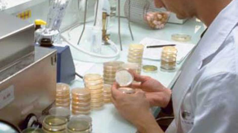 جزائري على رأس مخبر أردني لصناعة الأدوية