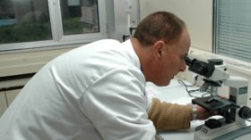 ارتفاع حالات أنفلونزا الخنازير إلى 16 حالة بالجزائر