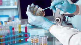 مخابر البحث العلمي: ما لها وما عليها!!