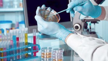 مخابر البحث العلمي: ما لها وما عليها!!