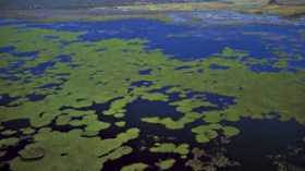 Le Parc national d'Al Kala en proie à un saccage effarant de la part d'un baron sans scrupules