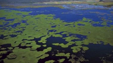 Le Parc national d'Al Kala en proie à un saccage effarant de la part d'un baron sans scrupules