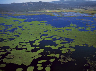 Le Parc national d'Al Kala en proie à un saccage effarant de la part d'un baron sans scrupules