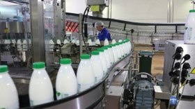 بعثة إيرلندية لصناعة الألبان لبحث شراكات بالجزائر