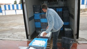 العاصمة والولايات المجاورة على موعد مع أزمة حليب اليوم