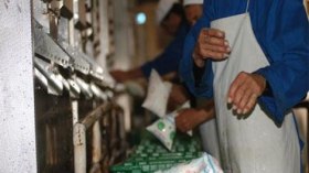 فاتورة واردات الجزائر من الحليب في ارتفاع