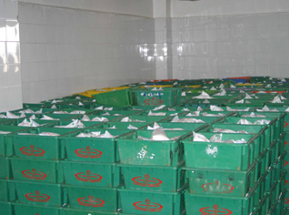 Subsidized milk powder smuggled to Morocco by top officials.