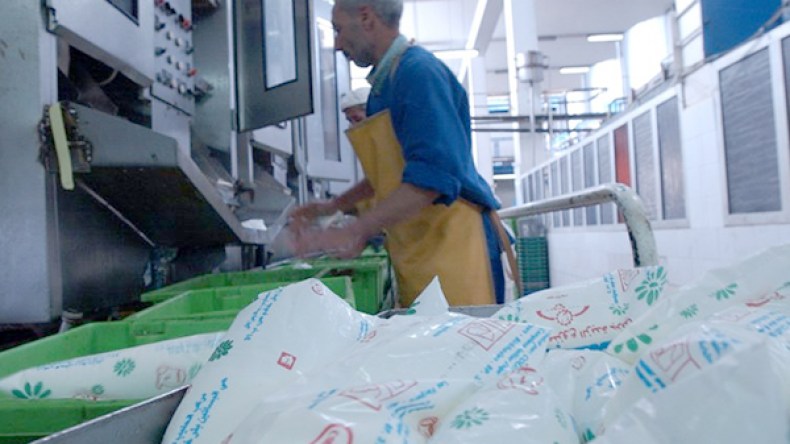 نصف مليون لتر لكل ملبنة.. وتخزين الحليب بالثلاجات وراء الأزمة!