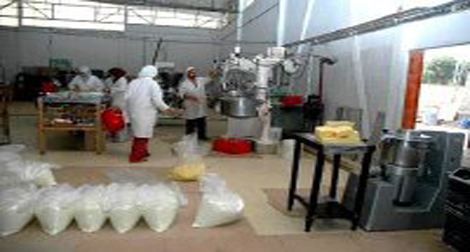 Nette baisse des importations de la poudre de lait au 1er trimestre de 2012