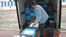 فاتورة استيراد الجزائر للحليب ترتفع بـ 11,7 بالمائة