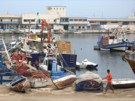 Crazy rise of fish prices during Ramadan