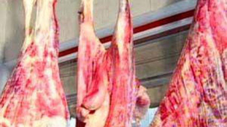 “لو كانت ماشية السودان مريضة لانقرض سكان الصحراء”