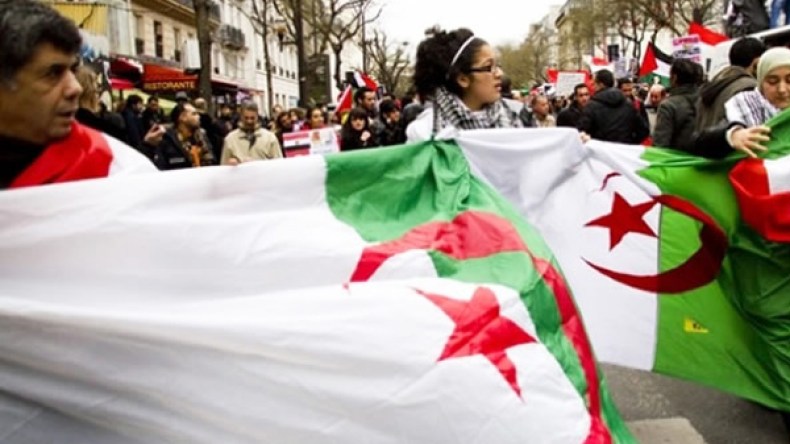 خرافة اللغة الجزائرية