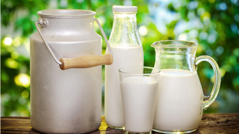 هل كان اللبن وراء انتشار الحمى المالطية ببوسعادة؟