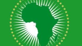 وساطة الإتحاد الأفريقي في الأزمة الليبية.. تحدي وجود ورد اعتبار