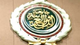 بعثة عربية لمراقبة التشريعيات تصل الجزائر الأحد