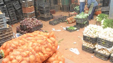 Algeria spends $32 million per month to import fruit