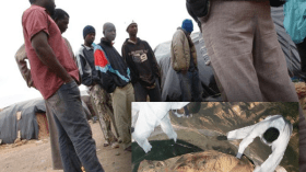 العثور على جثث 3 رعايا أفارقة بإيليزي