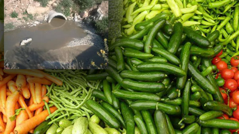 توقيف 7 فلاحين سقوا محاصيلهم بمياه “قذرة” بسكيكدة