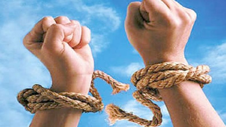 الحرية منة ربانية