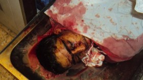 بنغازي تسقط في أيدي الثوار ومرتزقة القذافي يقتلون المتظاهرين