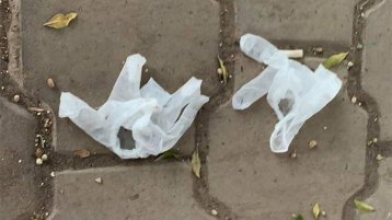 حروب كورونا.. من سينتصر؟