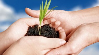 Les 5+5 se concertent à Alger pour faire face aux défis de la sécurité alimentaire