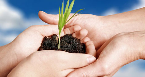 Les 5+5 se concertent à Alger pour faire face aux défis de la sécurité alimentaire