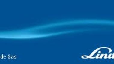 â€œLinde Gasâ€ workers ask government to restore the company