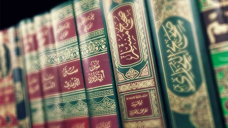 أضواء على كتب السنة 1/2