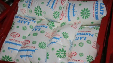 Distribution géographique de la poudre de lait pour mettre fin à la crise de lait