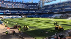 ملعبا مدريد ووهران.. شركة واحدة وعشب متباين!