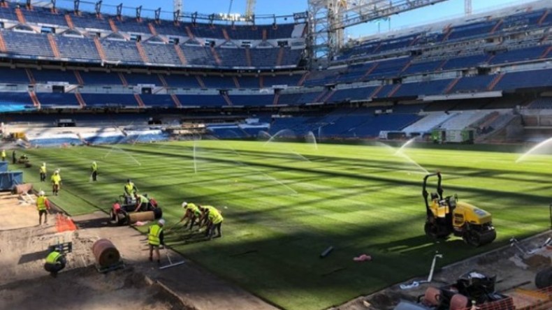 ملعبا مدريد ووهران.. شركة واحدة وعشب متباين!