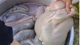 عدم احترام شروط حفظ أحشاء الخروف وراء الفاجعة