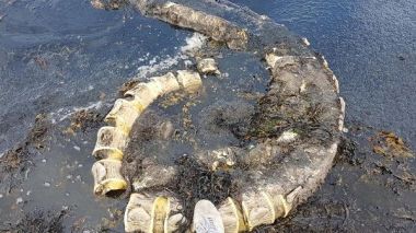 Écosse: Le mystérieux monstre du Loch Ness retrouvé échoué