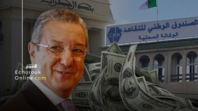 “دوفيز الجزائريين سينهار إلى 51 مليار دولار خلال 2020”