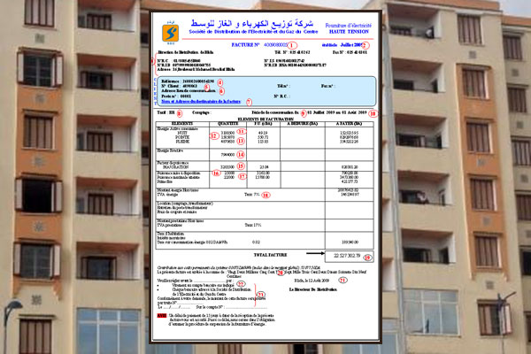 Algeria: Property Tax To Be Levied From Electricity and Gas Bills