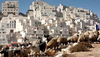 Israël va lancer des appels d'offres pour 800 logements à Jérusalem-Est