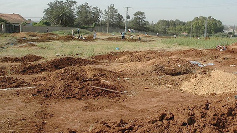 شيخ مهدد بالحبس لتزويره قرار الاستفادة من قطعة أرض