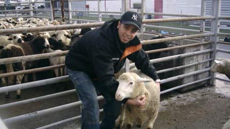 نجاح مبادرة “كبش لكل عائلة” في عنابة تفتح شهية الخير في باقي الولايات