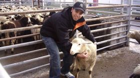 الفنانون وعيد الأضحى: حملات خيرية لتوزيع الأضاحي..