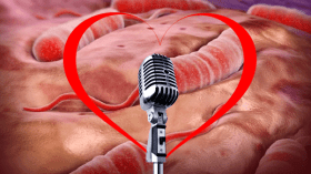 الفن في زمن الكوليرا