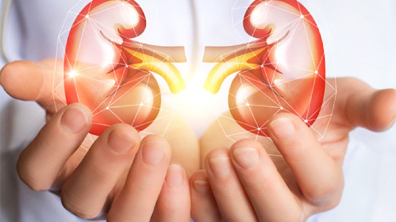 فريق طبي يزرع كلية رجل متوفى لشخص مريض بباتنة