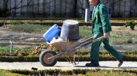 التقشف يحيل عشرات عمال البستنة بثانويات العاصمة على التقاعد