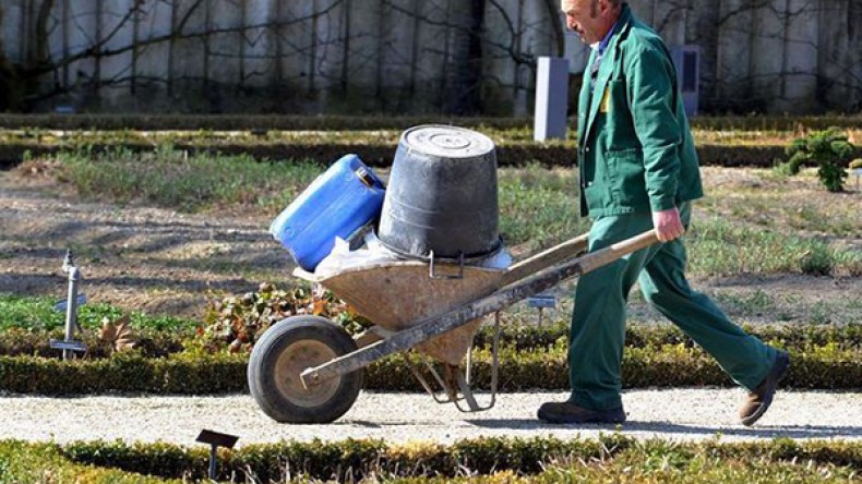 التقشف يحيل عشرات عمال البستنة بثانويات العاصمة على التقاعد