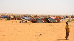 1500 نازح مالي دخلوا الجزائر