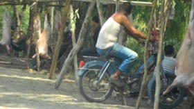 مذابح خارج القانون ولحوم النعاج والماعز ممزوجة بالحشرات وروائح الدماء