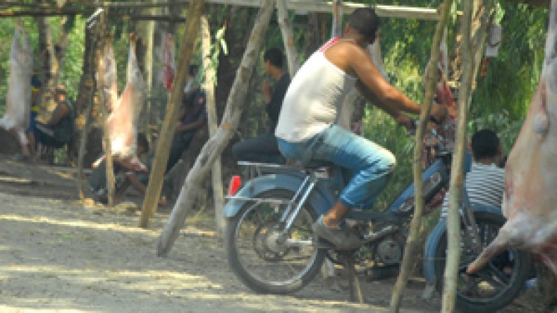 مذابح خارج القانون ولحوم النعاج والماعز ممزوجة بالحشرات وروائح الدماء