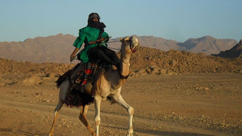 عودة “المهاريست” لمساعدة الجيش في تأمين الحدود